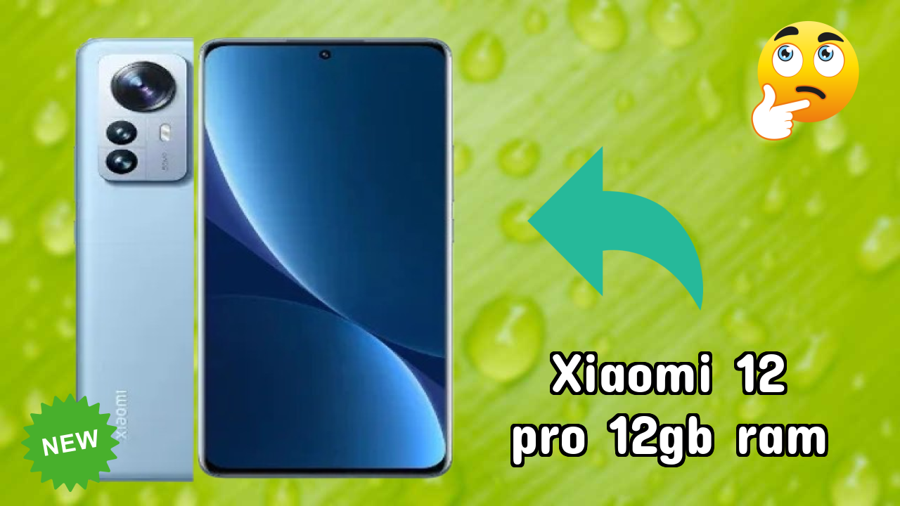 Xiaomi 12 Pro 12GB RAM Display Review: AMOLED Quality
